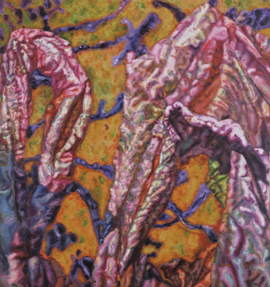 Banana Plant, 1997