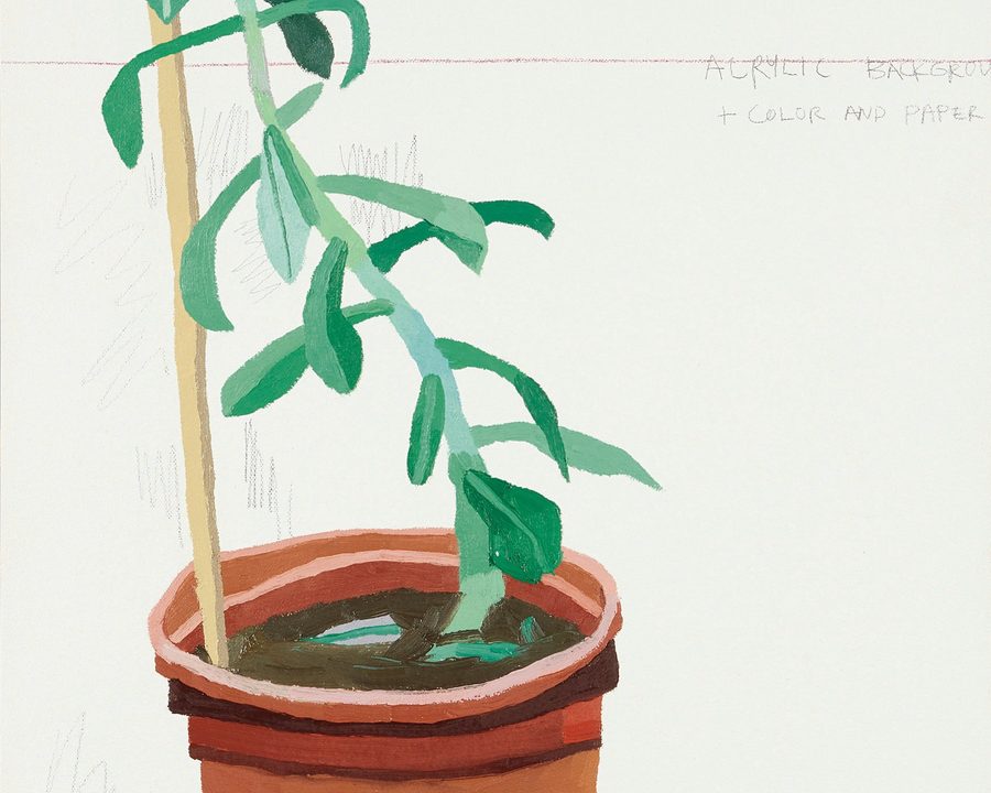 Twelve Flower Months, 1999–2000