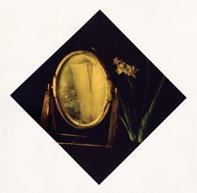 First Month Narcissus (from Twelve Month, 1999–2000