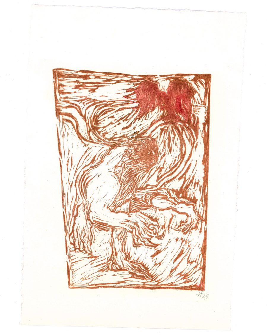 №7