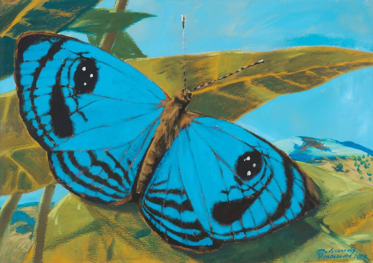 2000
