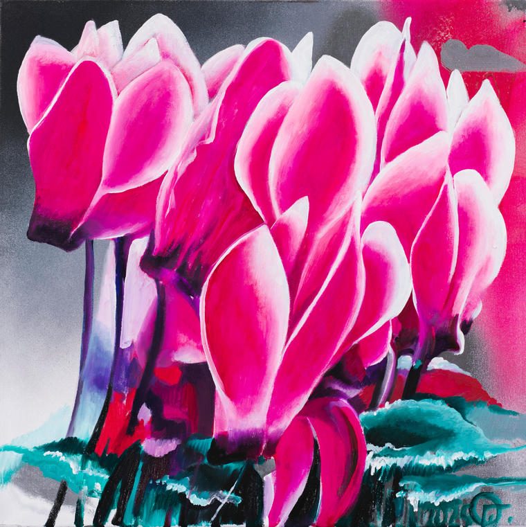Цикломены, 2005