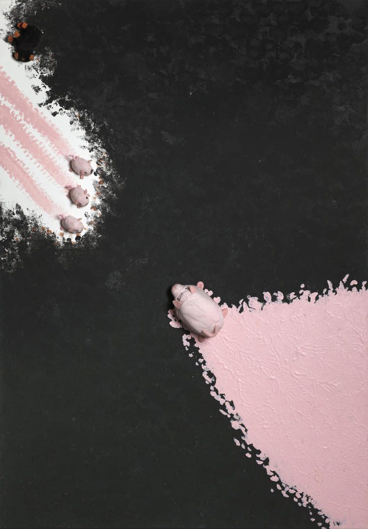 Три поросенка, 2011