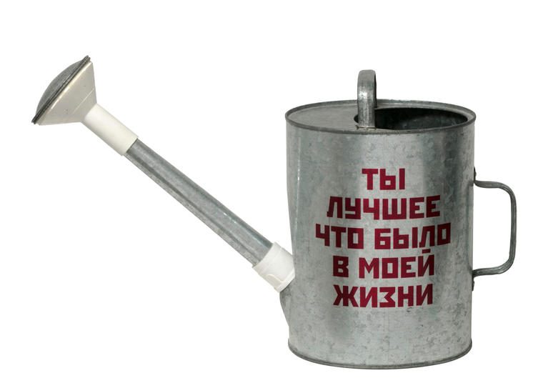 Лейка, 2006