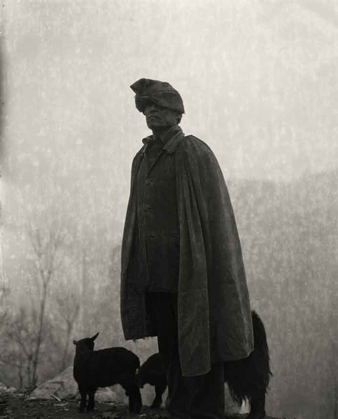 Man and Sheep