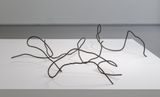 The Portrait of Rebar No, 2016