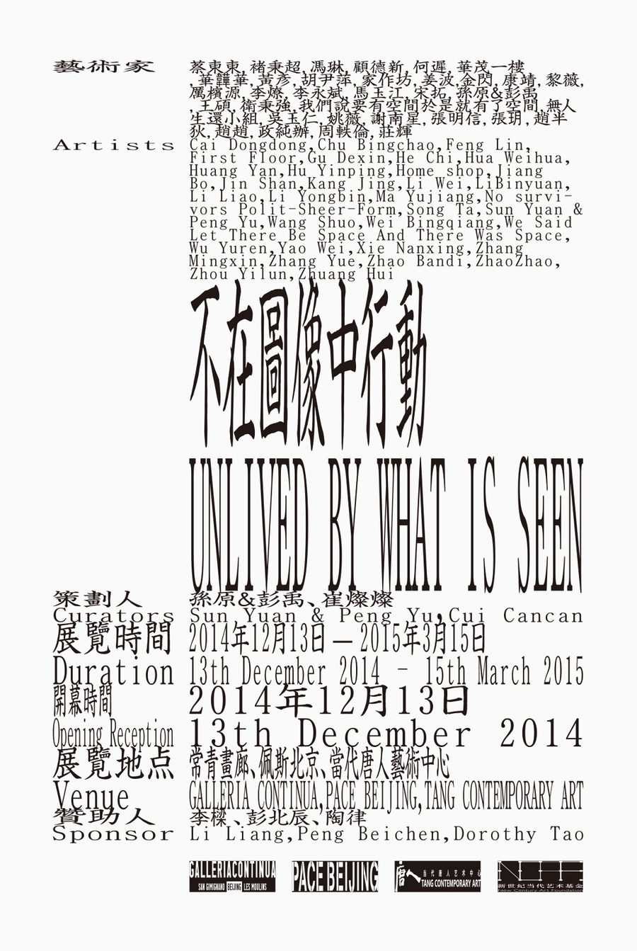 不再图像中行动 / Unlived by What is Seen, 2014