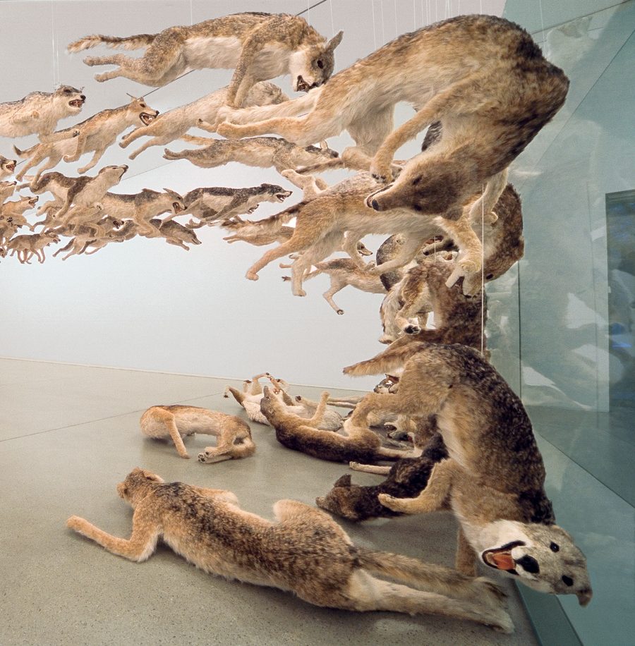 Head On, 2006