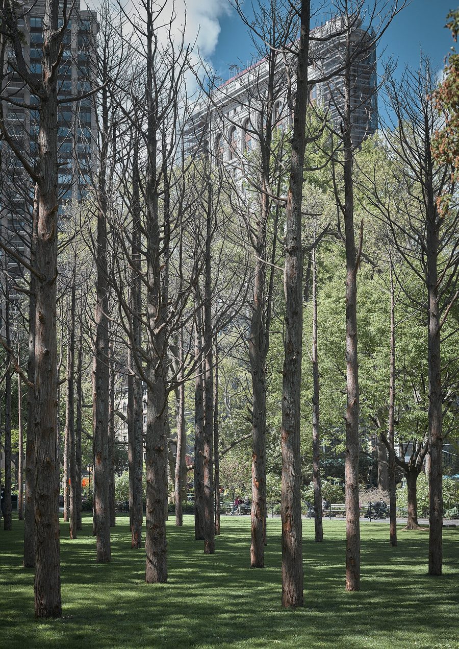 Ghost Forest, 2021