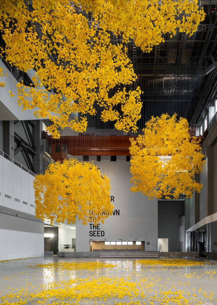 «Allora & Calzadilla, Penumbra»