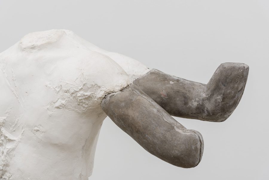 Flesh in Stone – Anthropos VI, 2026