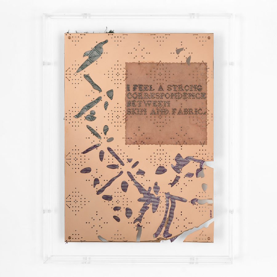 The North, The South—Lace (I), 2026