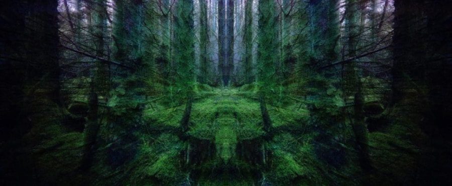«The Age of Digital / Analogue», 2017