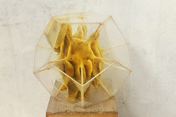 «Yuansu II», 2014