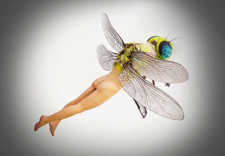 «蜥蜓人 / Dragonfly Man», 2016