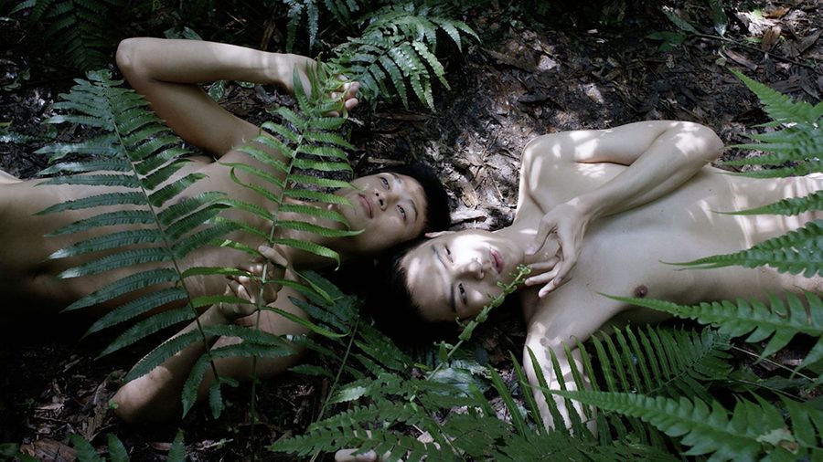 «Pteridophilia 4», 2019
