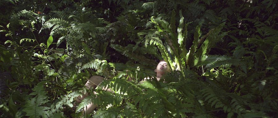«Pteridophilia 1», 2016