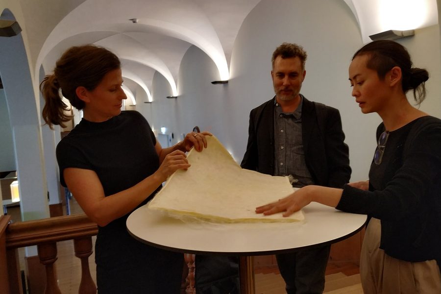 «The Silkworm Project», 2019