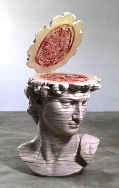 Michelangelo Dissected (Fig. I), 2012