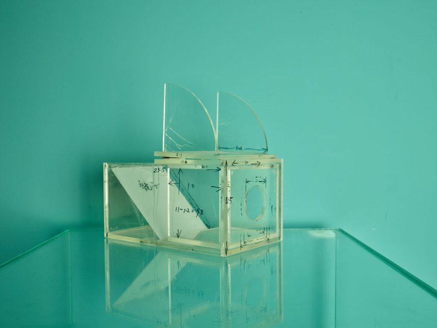 Reframing the Invention of Photography, 2020