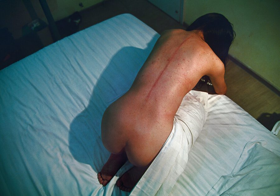 «Bees», 2010–2012