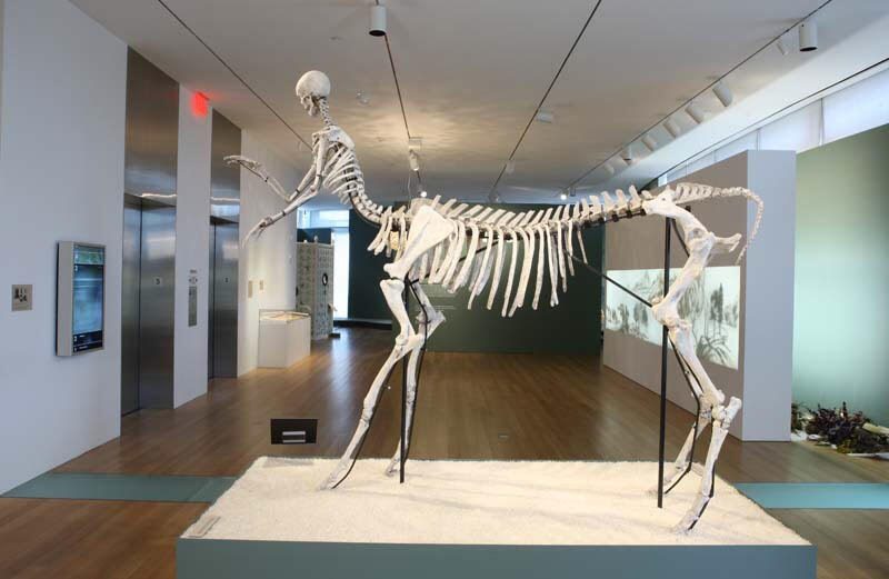 Sagittarius, 2005