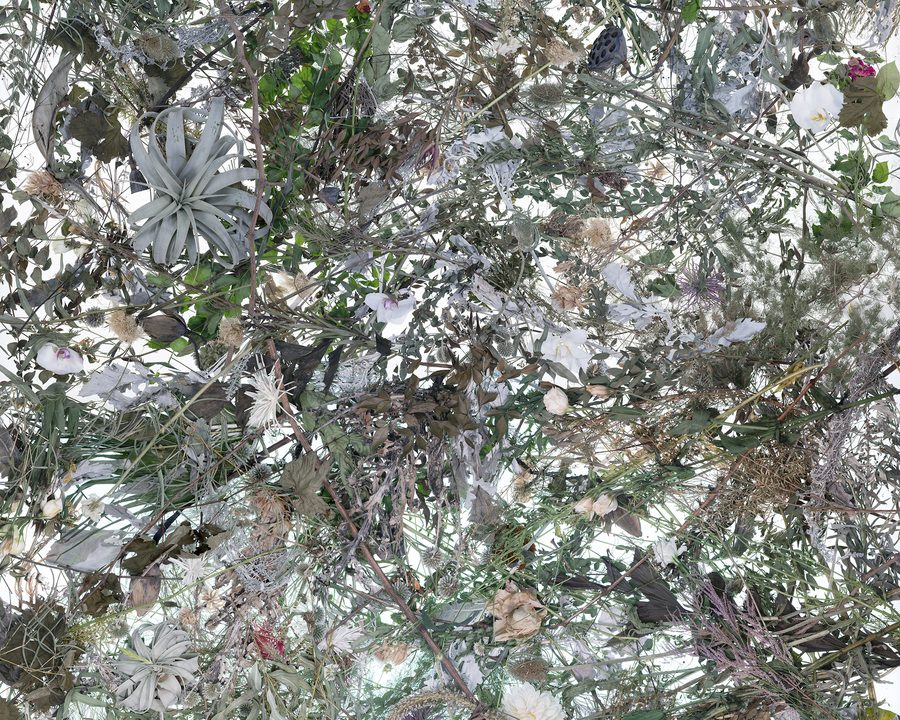 Metempsychosis 2022-1