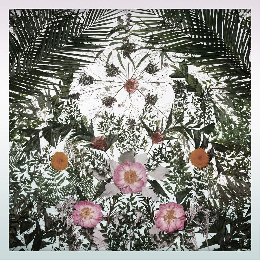 Full Bloom