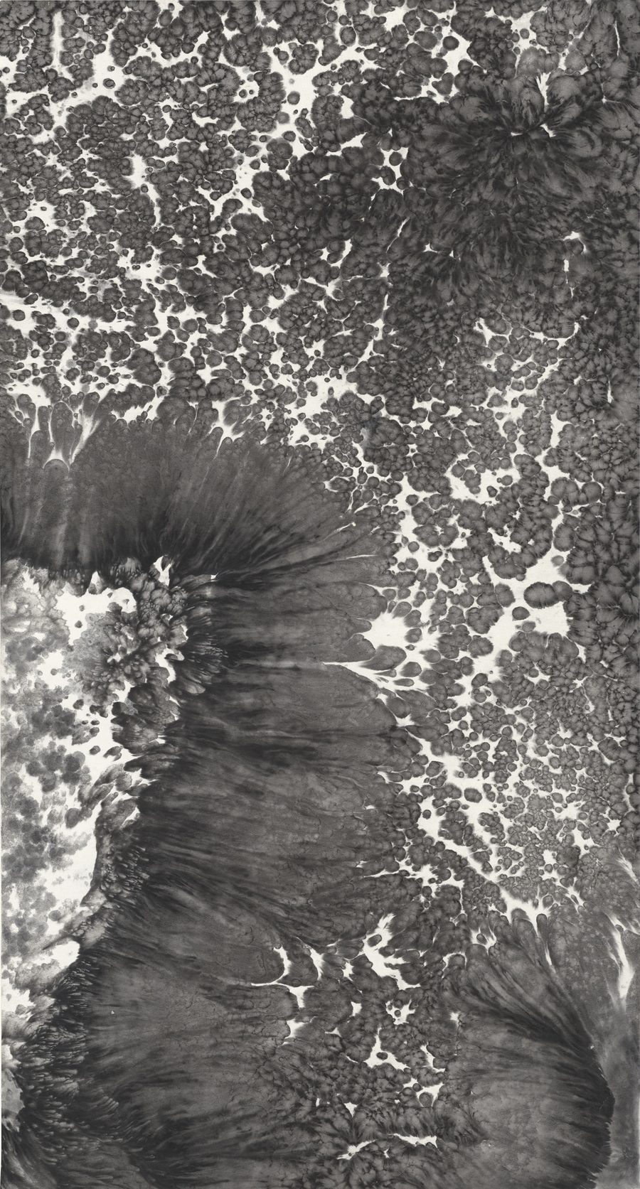 Waterfall of Plum Blossoms, 2019