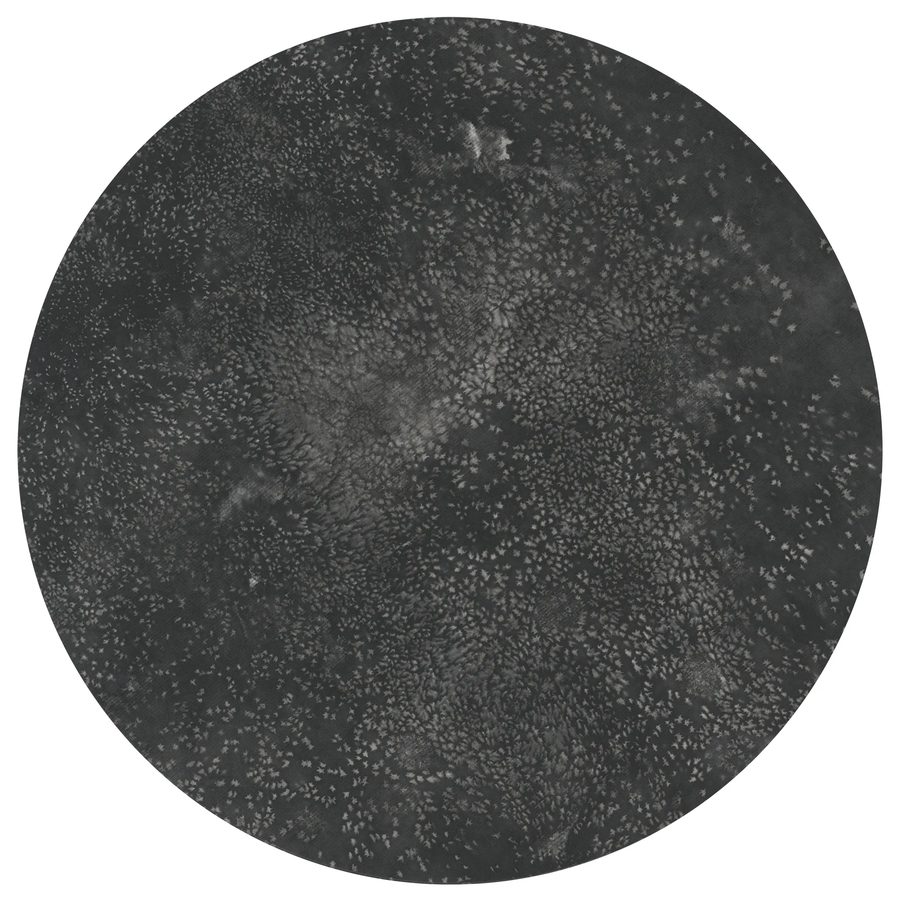Starry Sky, 2018